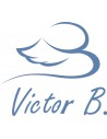 Victor B.